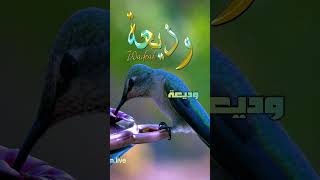 ابيات شعر باسم #وديعة