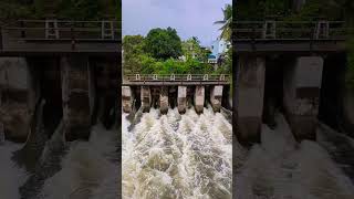 Avadi Kamaraj Nagar Cooum River