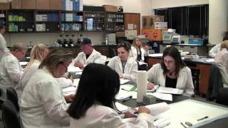 Program spotlight: Biotechnology Certificate