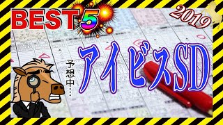 【競馬ランキング】2019アイビスSD BEST5