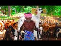 NELLAI MASALA MUTTON CURRY | Village Traditional Goat Recipe | Prepared by KARUPPASAMI Grandpa