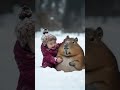 cute pet and cute baby kapibala and her baby have a great time in the snow kapibala s debut plan