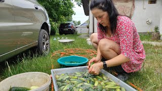 Beautiful Girl in a Short Dress Enjoying Village Life and Her Garden