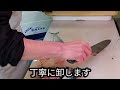 魚の捌き方 真さばとごまさばを比べてみました