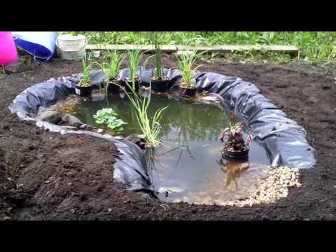 Wildlife pond in ONE DAY! The Backyard Vegan UK Wildlife pond in ONE DAY! The Backyard Vegan UK
