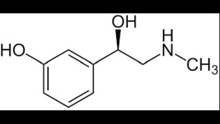 【毎日構造式】3日目 フェニレフリン【薬学部】