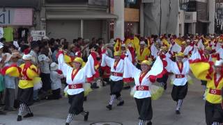 なんてて　かんてて（よさこい祭り2013・帯屋町）