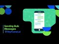 Sending Bulk Messages in WhatsApp Business API