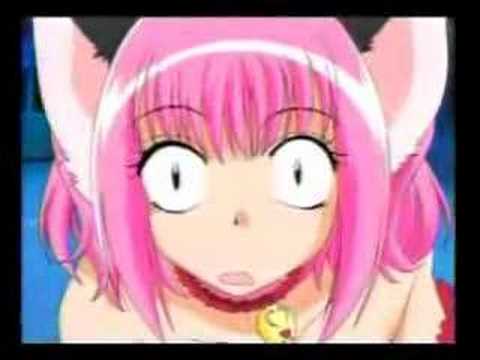 What S New Pussycat Know Your Meme