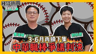 【棒球抓周】EP.39 三～六月再續下集 中華職棒爭議判決 ft.劉柏君