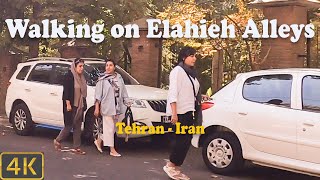 Walking on Elahieh Alleys - Tehran - Iran