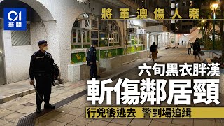 將軍澳翠林邨男子遭鄰居斬傷　黑衣男兇徒仍在逃　警到場搜索｜01新聞｜突發｜追緝｜將軍澳