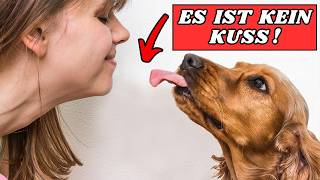 Der wahre Grund, warum Hunde dich lecken, ist ekelhaft!