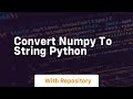 convert numpy to string python
