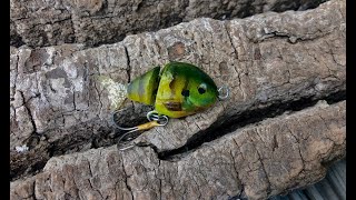 Making a Mini Jointed Crankbait - Build to Catch?