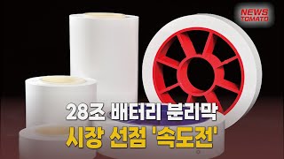 석유화학, 28조 배터리 분리막 시장 선점 돌입 [말하는 기자들_산업_0918]