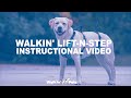 Walkin' Lift-n-Step Harness for Pets - Instructional Video