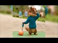 Ain't In the Mood (Yusuf Sheikh) Chipmunk Version 