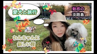 【愛犬と旅行】淡路島の貸別荘スタイルのワンちゃんと泊まれるホテルに泊まりました。