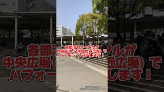 福岡大学新入生歓迎ステージ#春から福大生 #福岡大学 #福岡大 #福大 #春から福岡大学