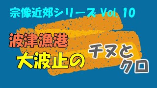 波津漁港のチヌとクロ