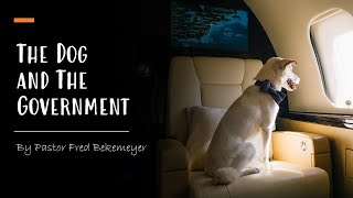 The Dog and The Government | Pastor Fred Bekemeyer