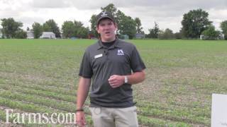 Technical Overview of Nufarm Agriculture's Bifecta Soybean Herbicide