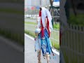 길거리미녀들 street beauties 길거리패션 streetfashion 패션유행통신 fashion shorts