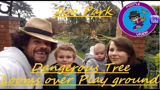 Dangerous Tree Looms Over Town Center Playground #PurpleVision #Wellingborough