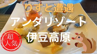 【伊豆】まさにバリのお宿　コース料理　可愛い森の住人も登場(鳴き声音声あり)