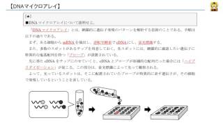 DNAマイクロアレイ 【高校生物】