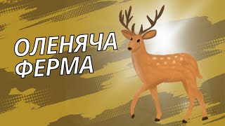 🌿 Оленяча Ферма та Контактний Зоопарк Закарпаття 🦌 | Відпочинок Серед Природи 🐾