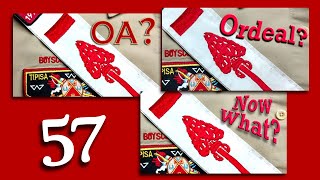 What is OA?  (Compilation of videos.)