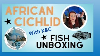 African Cichlid Fish Unboxing | K\u0026C Rift Valley Cichlids | Part 2