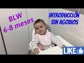 INTRODUCCIÓN A BLW 6-8 MESES [EVOLUCIÓN] Cómo introducir la alimentación sólida al bebé