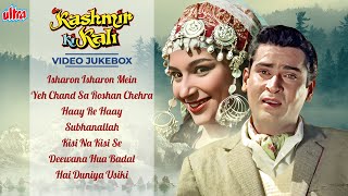 Kashmir Ki Kali 4K All Songs Jukebox- Old Classic Hindi Songs Shammi K, Sharmila Tagore | Rafi, Asha