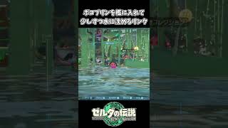 【ティアキン】ボコブリンを檻に入れて水に沈めるリンク【ゼルダの伝説 ティアーズ オブ ザ キングダム】