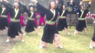 2012 観音寺上町民商祭り【シャケサンバ総踊り】