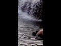 faisal sahir swimming with friends002