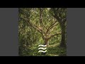 Enjoyable Deep Forest Sounds for Yoga