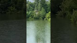 15lb Bass Eats My Whopper Plopper