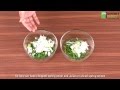 How To Chop Spring Onions - The Right Technique By Nature's Basket