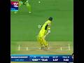 Wahab Riaz vs Shane Watson Fiery Bouncer Showdown  #shorts #shortsfeed #viralshorts #cricket #foryou