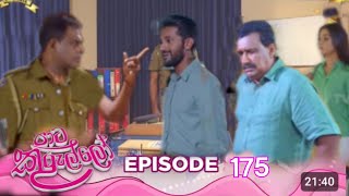 Paata Kurullo - පාට කුරුල්ලෝ | Episode 175 | 2025-01-09| Hiru TV today