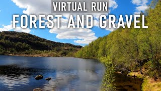 Virtual Run Forest | Woods And Gravel | Fun Run | Treadmill Workout