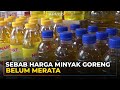 Penyebab Harga Minyak Goreng Belum Merata