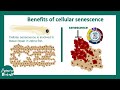 Senescence  Overview of Cell Senescence  hallmarks and inducers of Cell Senescence   USMLE