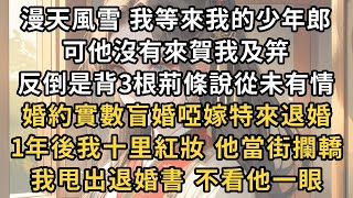 漫天風雪 我等來我的少年郎 ，可他沒有來賀我及笄 ，反倒是背3根荊條說從未有情 ，婚約實數盲婚啞嫁特來退婚 ，1年後我十里紅妝 他當街攔轎 ，我甩出退婚書 不看他一眼#一世兩相依#爽文#甜文#古言