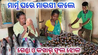 ମାମୁଁ ଘରେ ମାଉସୀ କଲେ || ଗେଣ୍ଡା ଓ କଖାରୁ ଫୁଲ ଝୋଳ || @tribevloggerrani9457