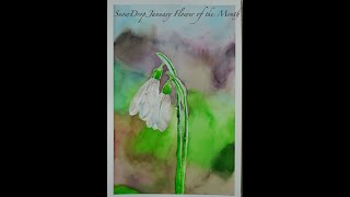 Snowdrop Flower Watercolor Painting January Flower of the Month